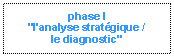 Zone de Texte: phase I
"l'analyse stratégique /
le diagnostic"