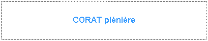 Zone de Texte: CORAT plénière